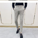 Italian Vega Royal Biege Trouser For Men Regular